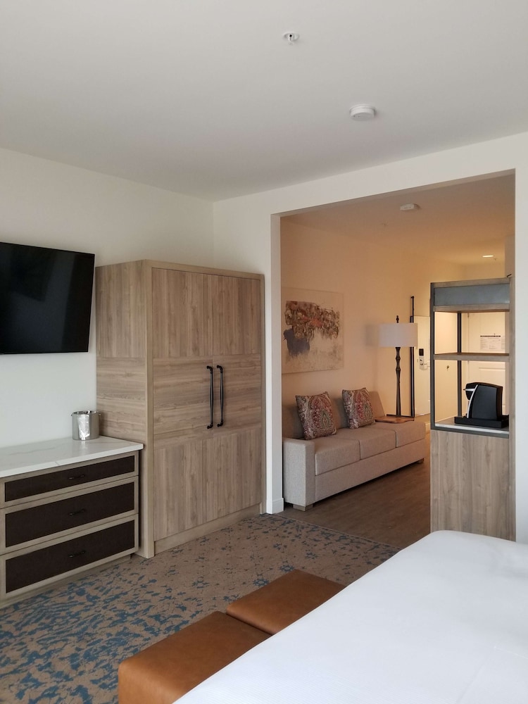 The Cassara Carlsbad Tapestry Collection By Hilton 10/63