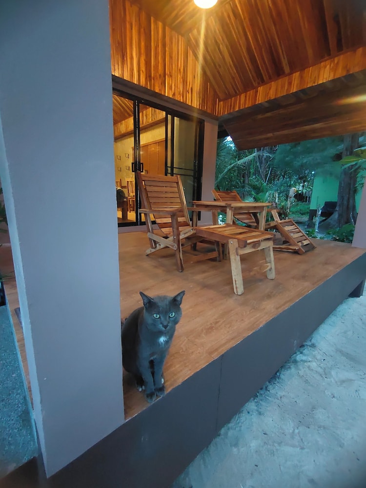 Phayam Coconut Beach Resort 24/50