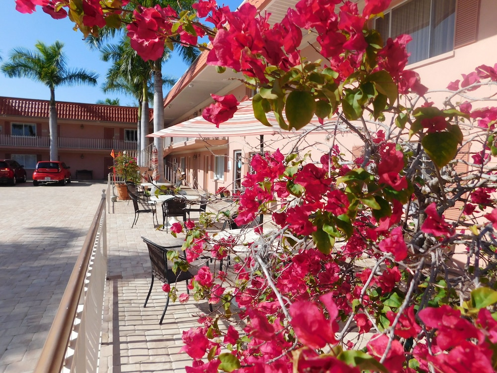Hibiscus Suites - Gateway to Siesta Key 34/44