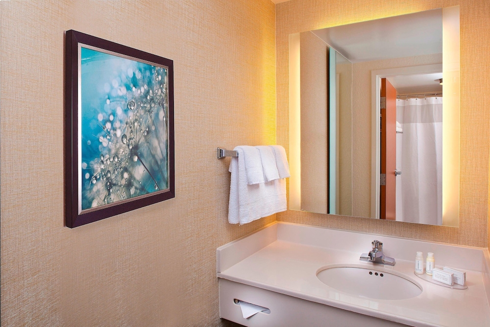 SpringHill Suites by Marriott Orlando Lake Buena Vista in the Marriott Village 11/58