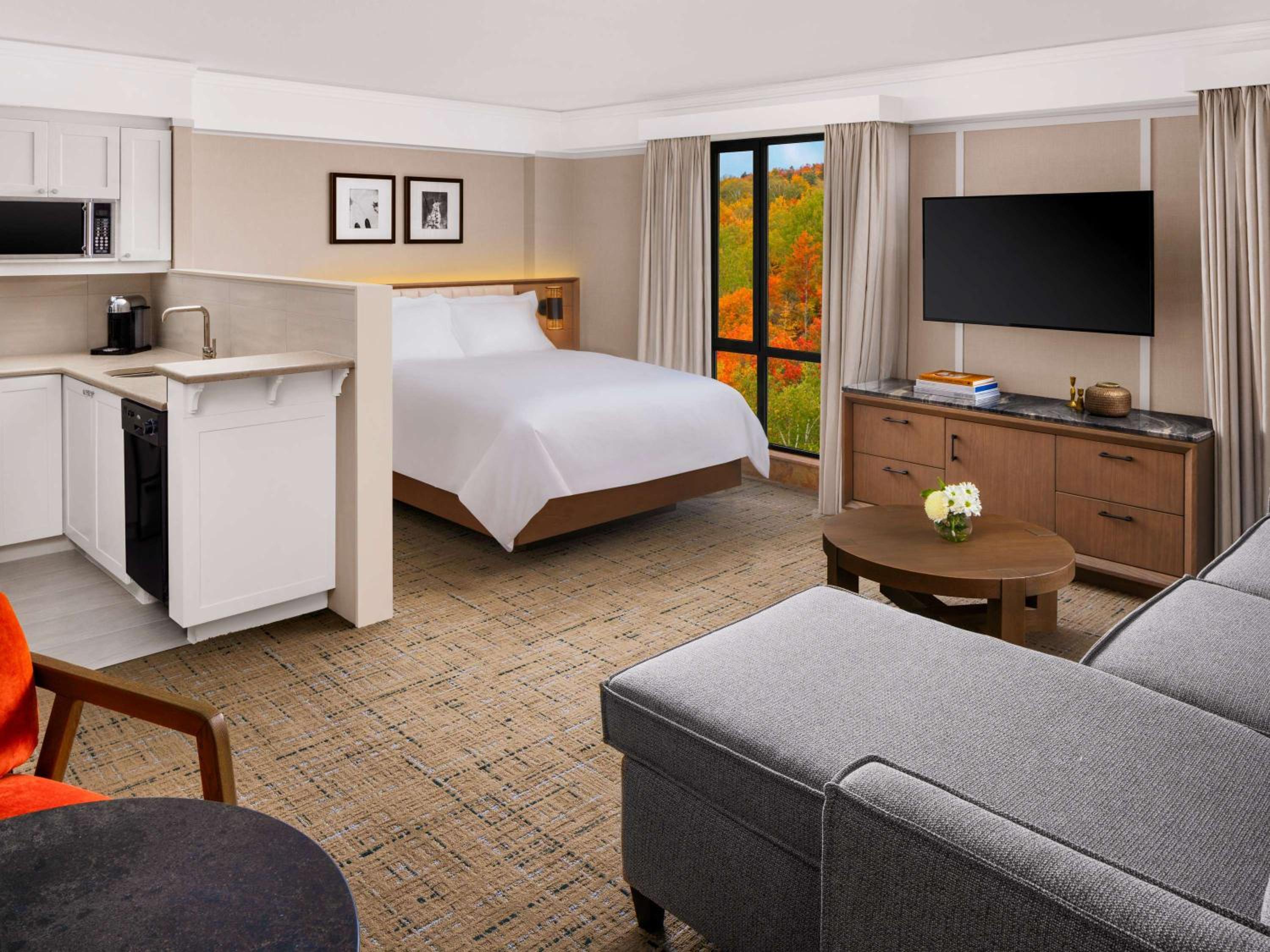 Renovated, Luxury, Studio, Suite, Queen Bed, Kitchen