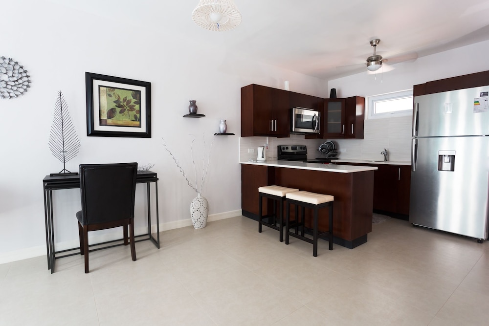 Kingston Luxury Guest Apt At Sullivan 12/19