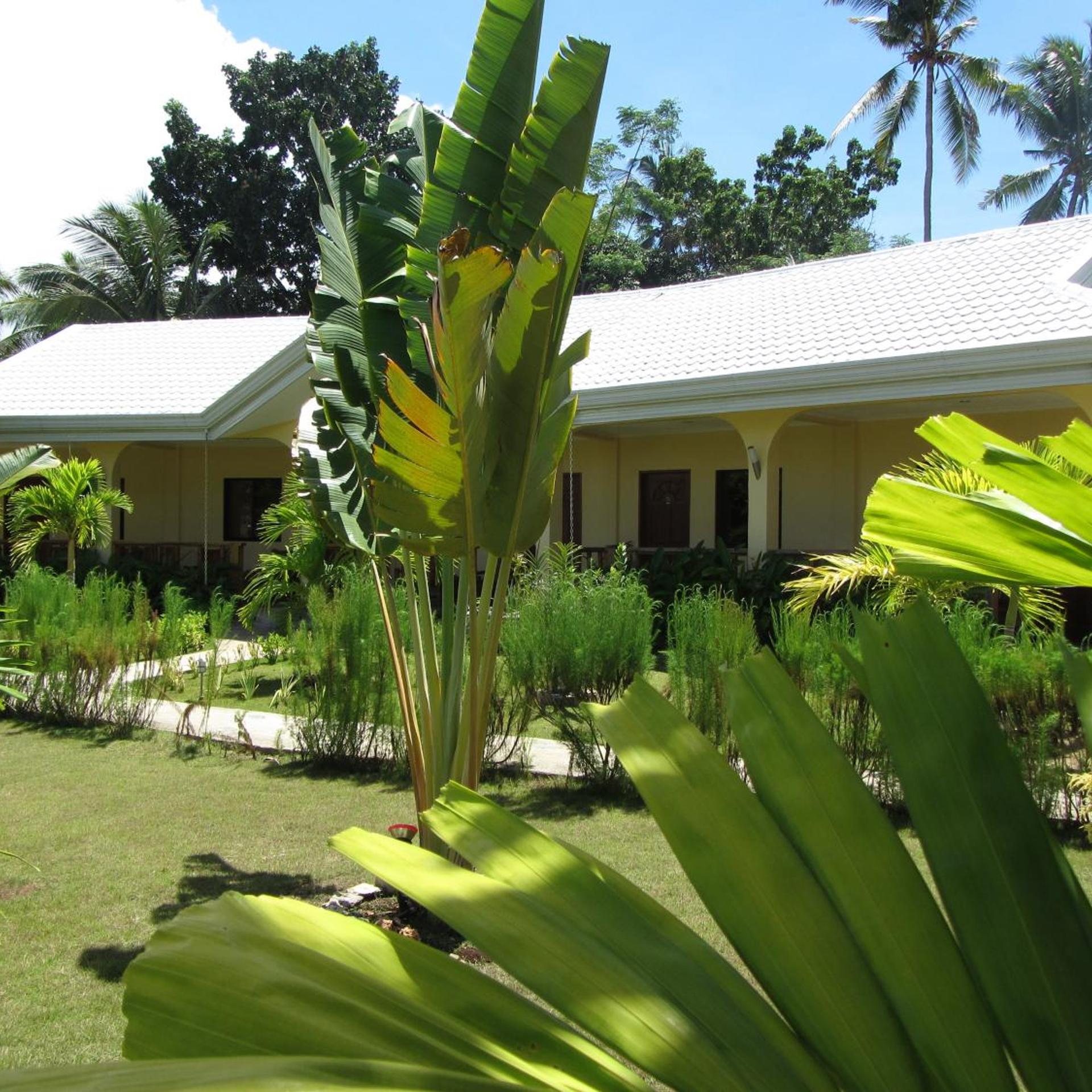 Bohol Sunside Resort 33/50
