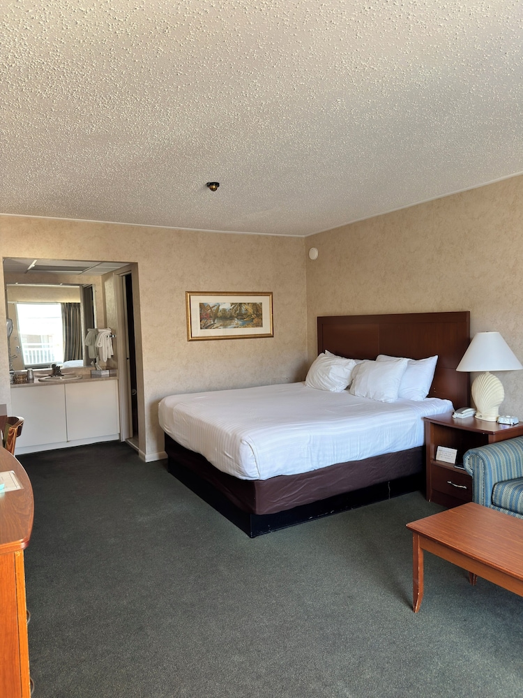 Impala Island Inn 7/34