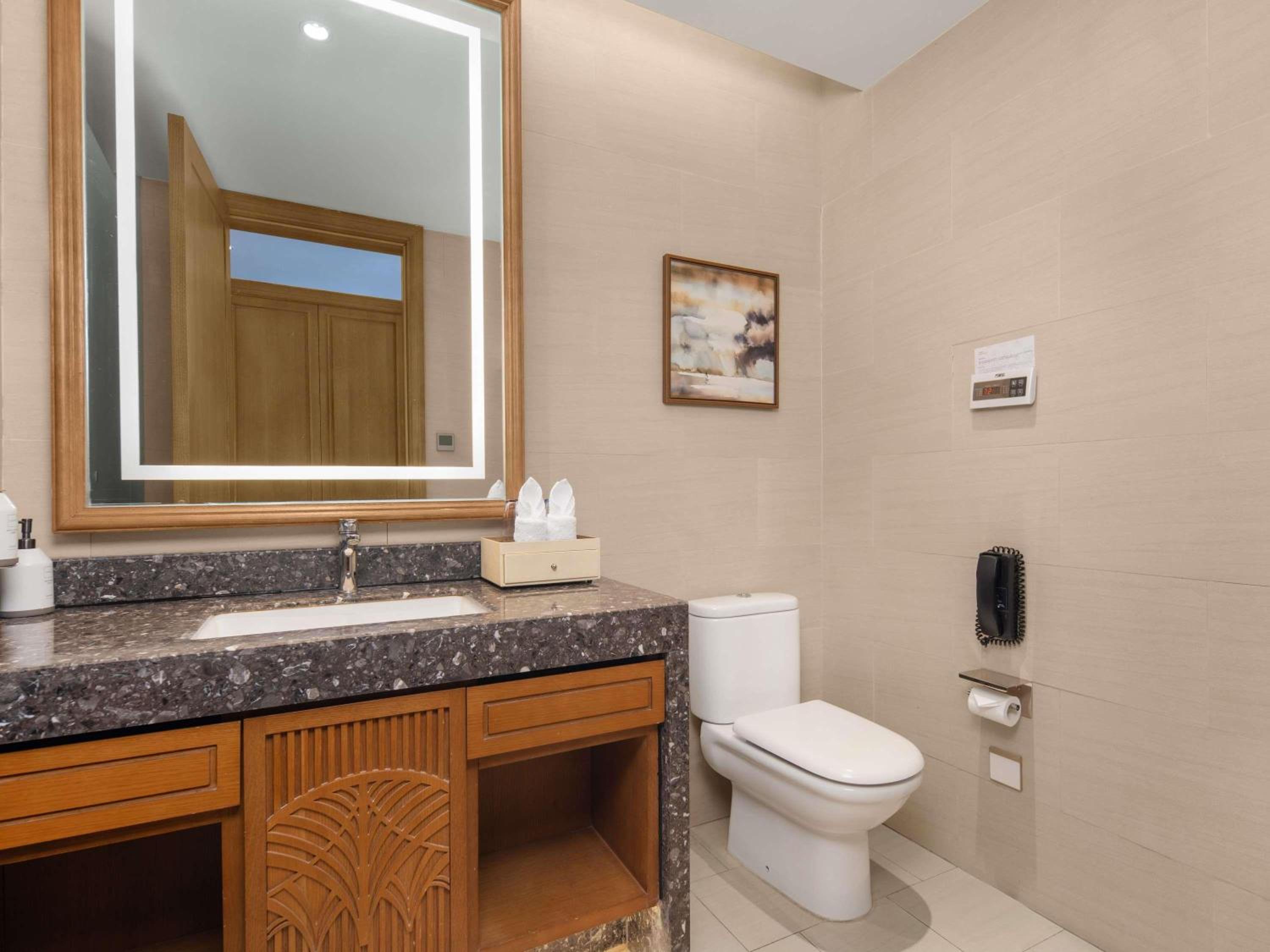 Swiss Advantage, King Bed, Mountain View، Swissotel Resort Changbaishan 6/6