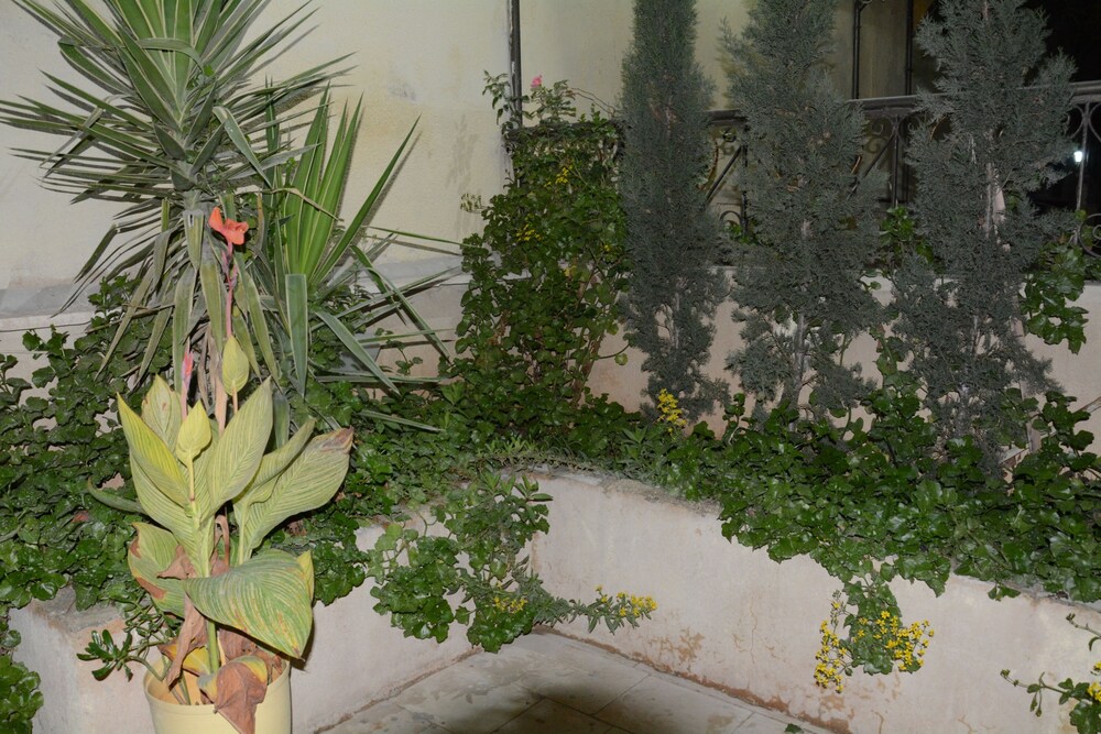 Jasmine leaves hotel apartment 21/25