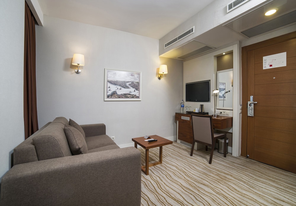 Radisson Hotel Istanbul Sultanahmet 30/50