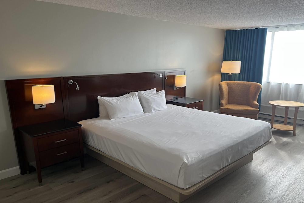 Room, King Bed, Annex