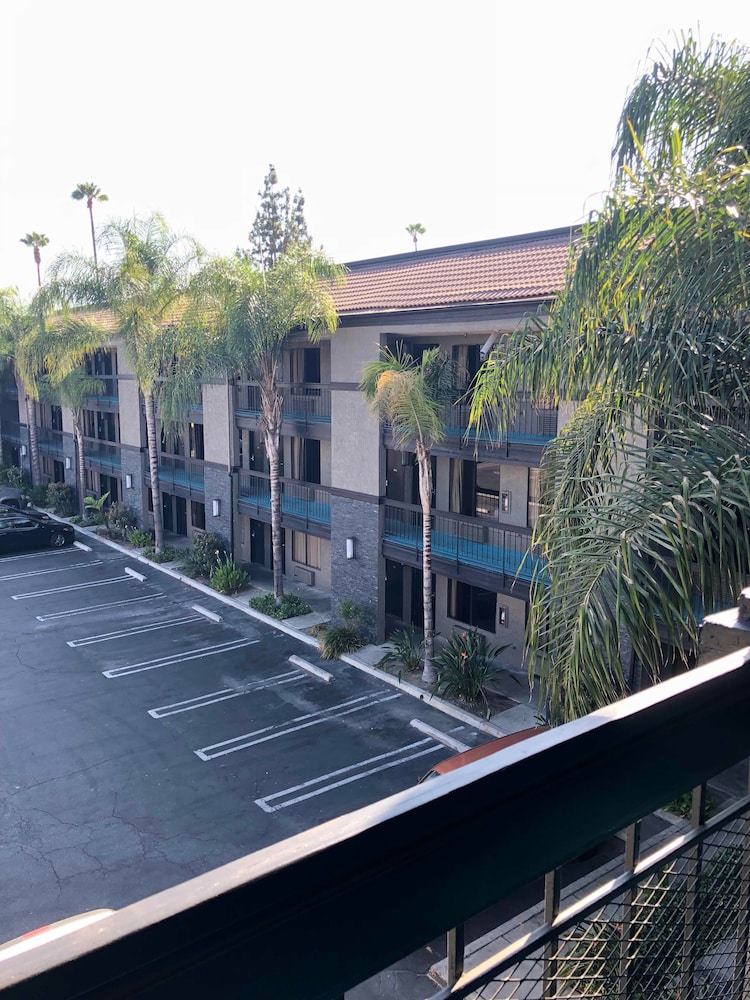 Hotel Le Reve Pasadena 2/59