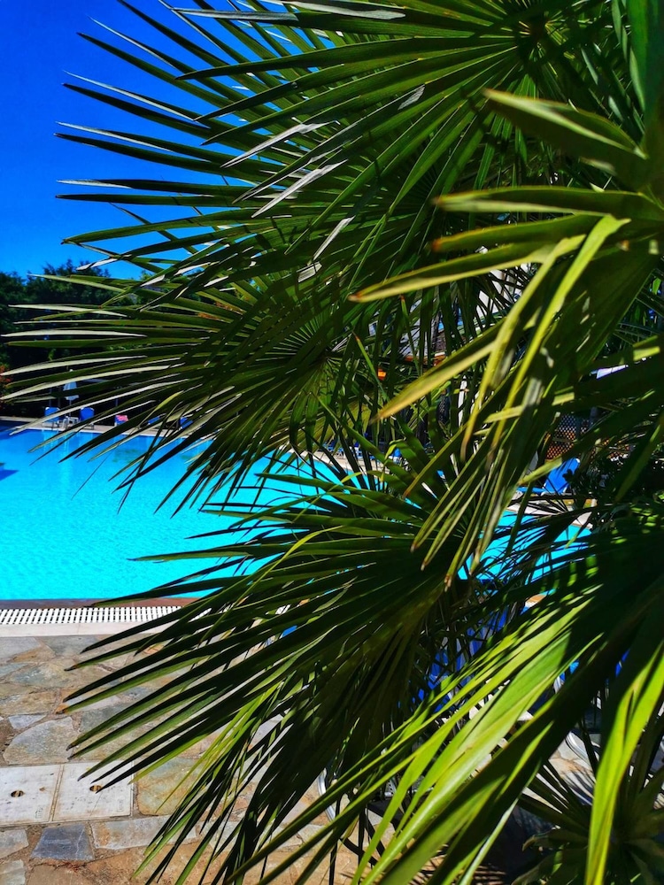 Corfu Hellinis Hotel 29/32