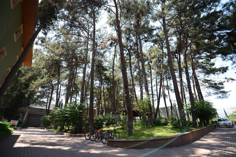 ARSAN OTEL 33/37
