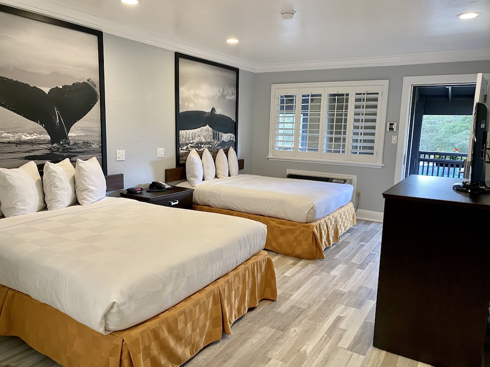 Super 8 By Wyndham Monterey/Carmel 39/48