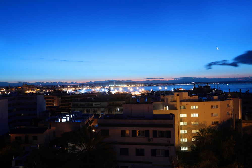Sercotel Zurbaran Palma 2/64