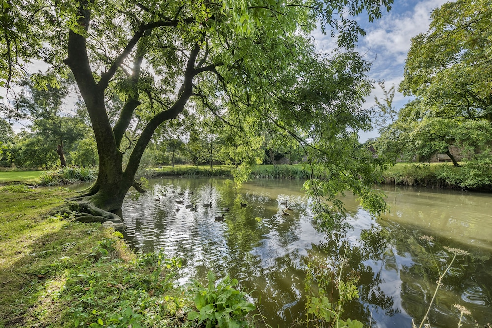 Thurnham Hall Resort 37/48