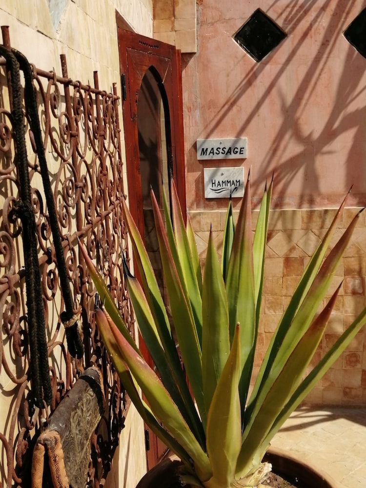 RIAD TARA 40/77