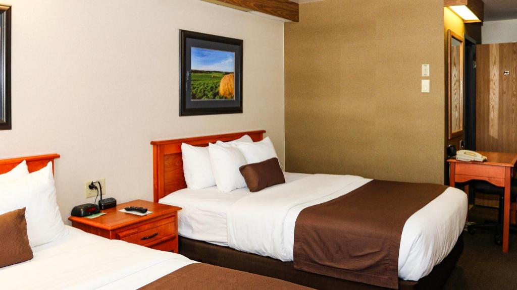 2 Queen Beds - Non-Smoking, Micfridge