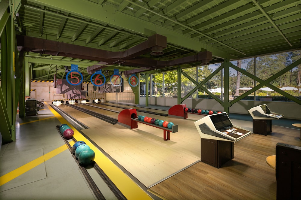 CENTER PARCS - LES HAUTS DE BRUYERES 38/45