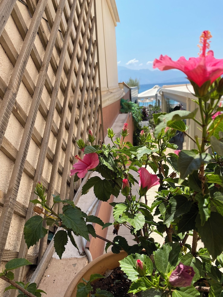 Palazzo Arhontiko Apartments 1/32