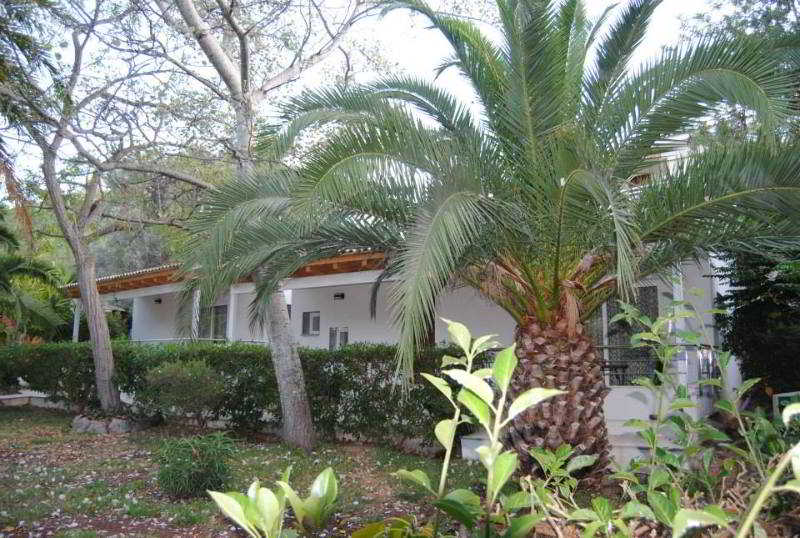 Soller Garden 19/30