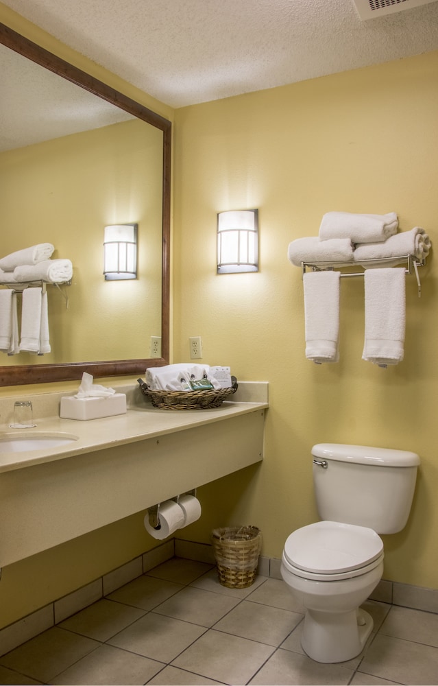 Mcm Elegante Lodge Suites Ruidoso 12/41