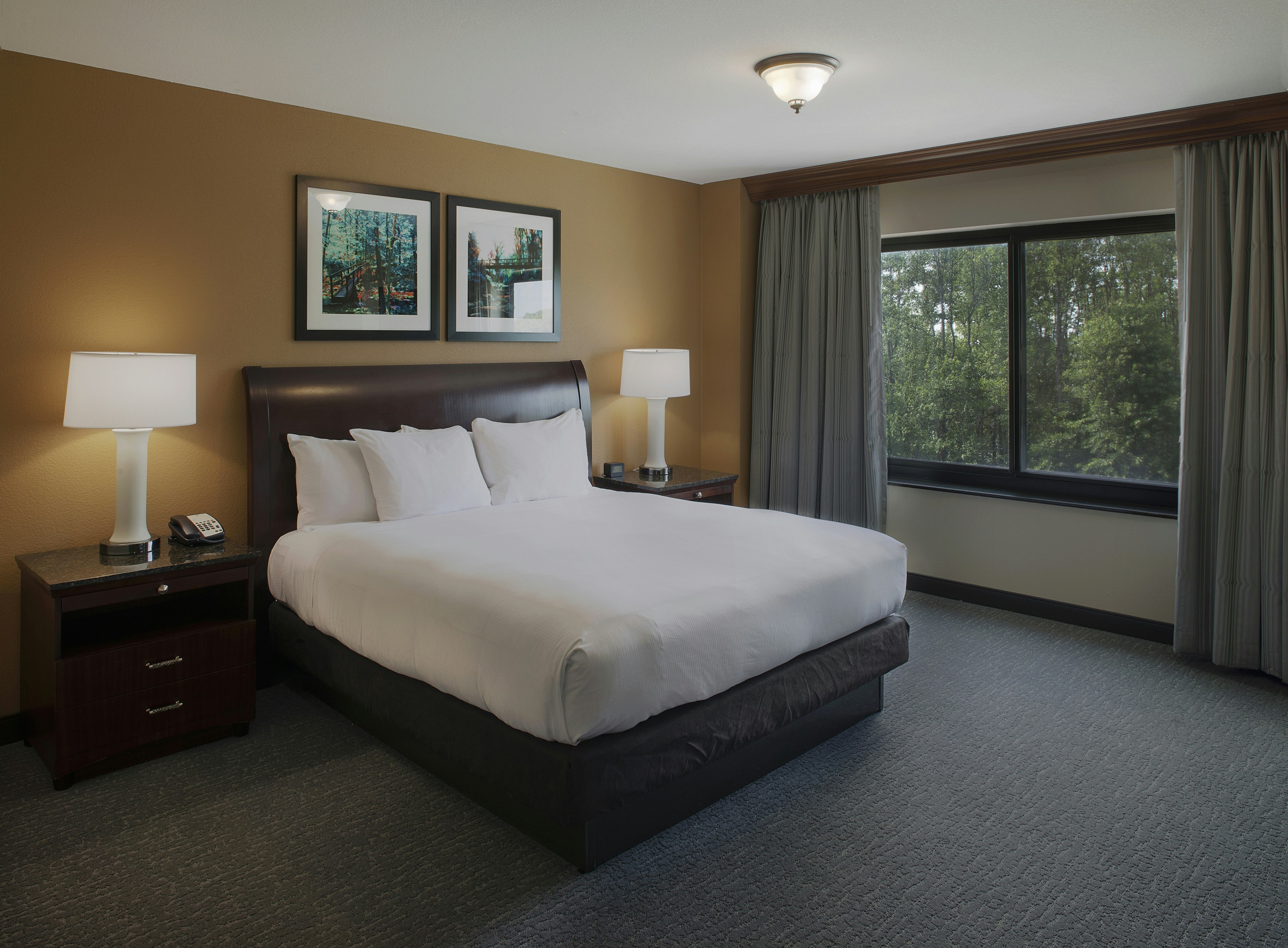 Suite, King Bed