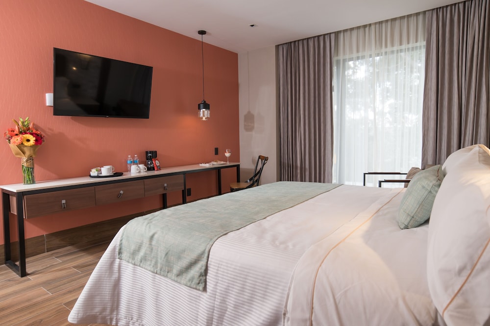 Hotel Ronda Minerva 28/62