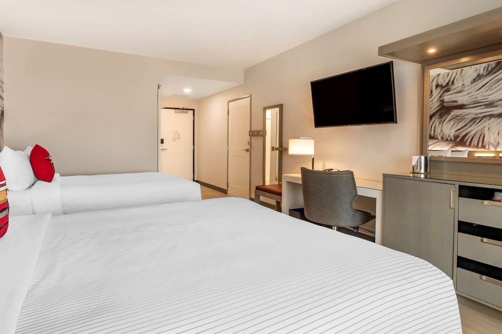 Cambria Hotel Rock Hill - University Center 10/59