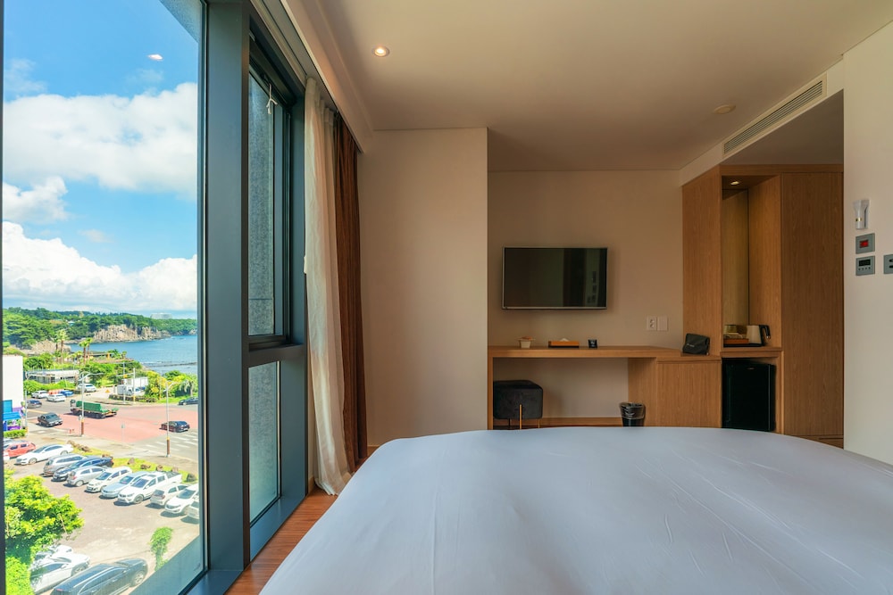 HOTEL FINE JEJU 24/47