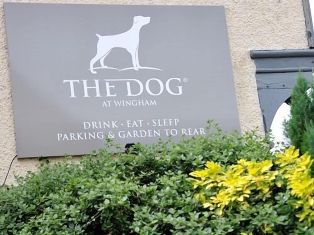 The Dog At Wingham 3/58