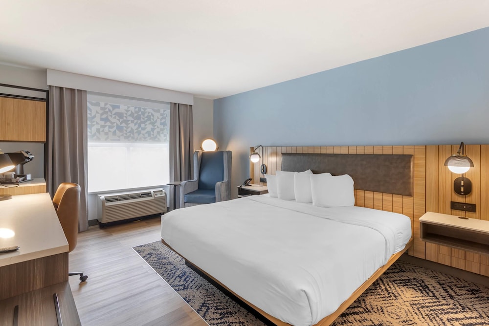 ROOM, KING BED, ACCESSIBLE