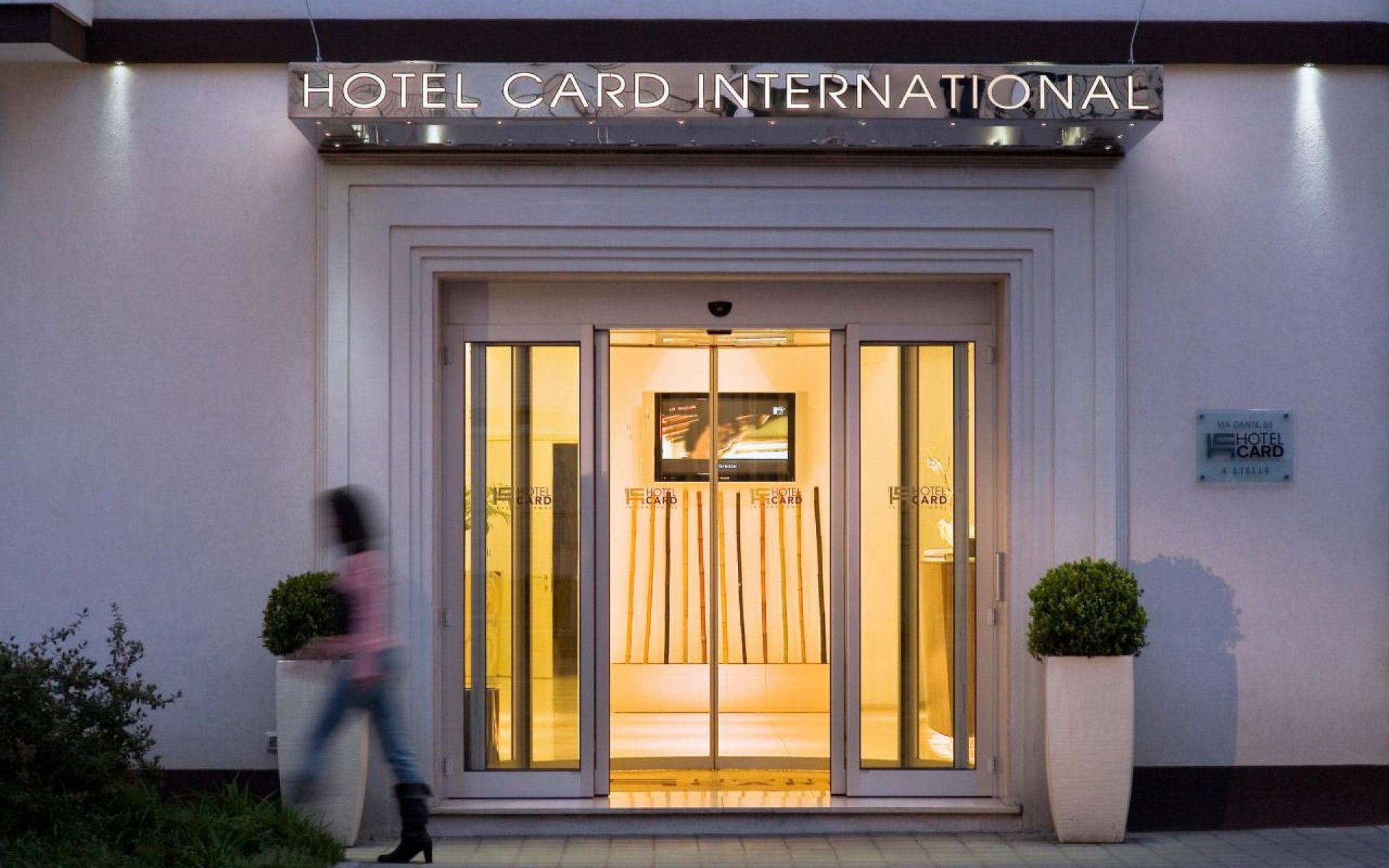 CARD INTERNATIONAL photo2