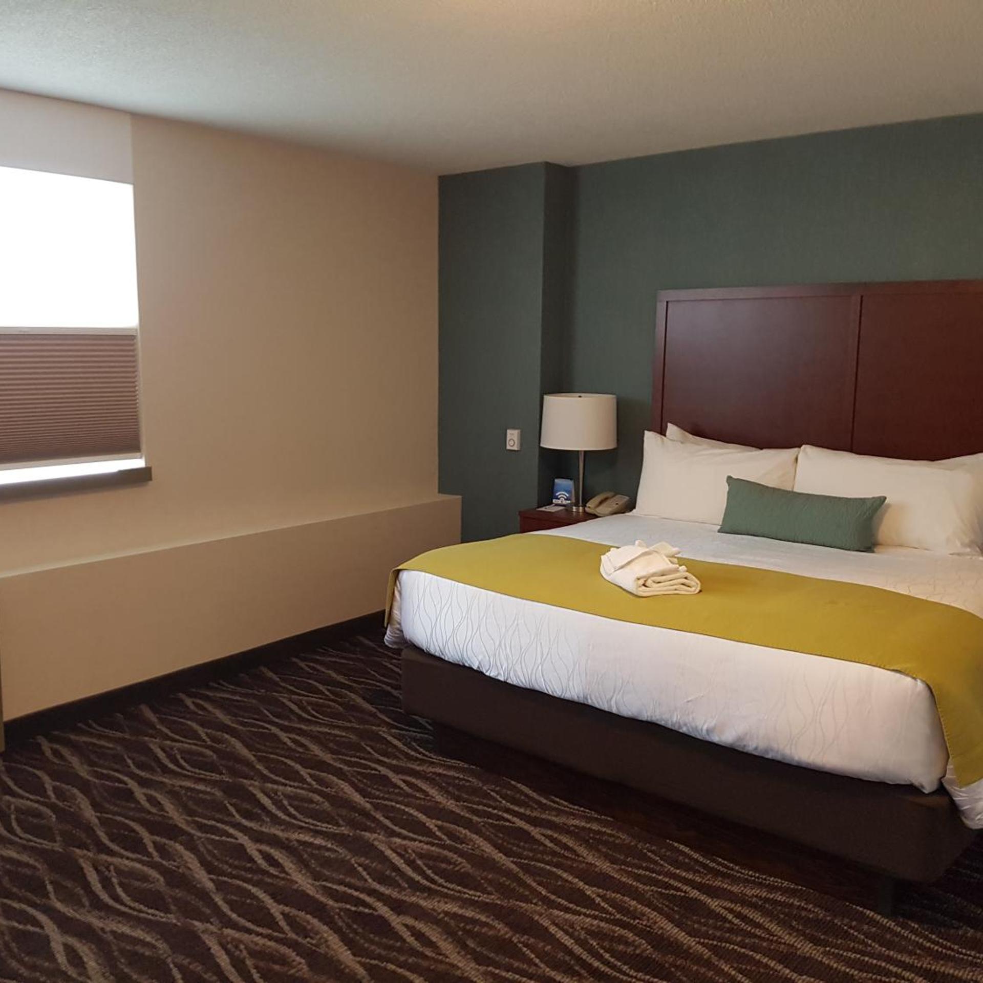 Room, King Bed, Queen Bed, Accessible