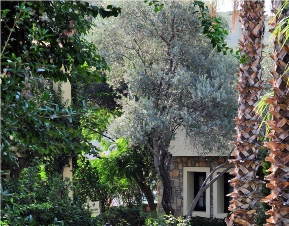 ZEYTINADA HOTEL 27/45