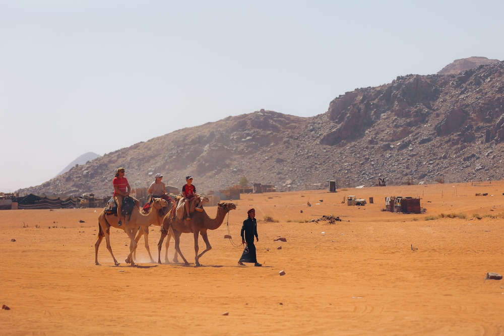 Magic Bedouin Star 48/50