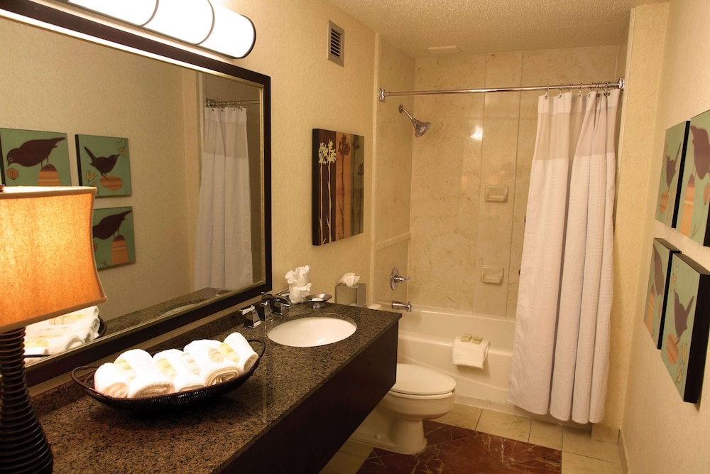 Sonesta Atlanta Airport North 18/60