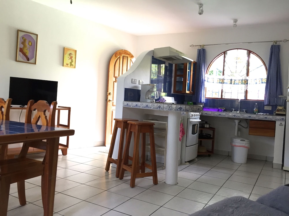 La Perlita 27/50