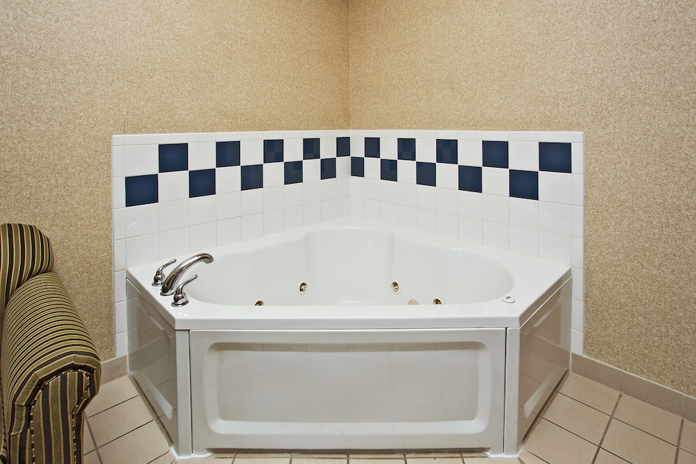 Holiday Inn Express Hotel & Suites Anderson 29/78