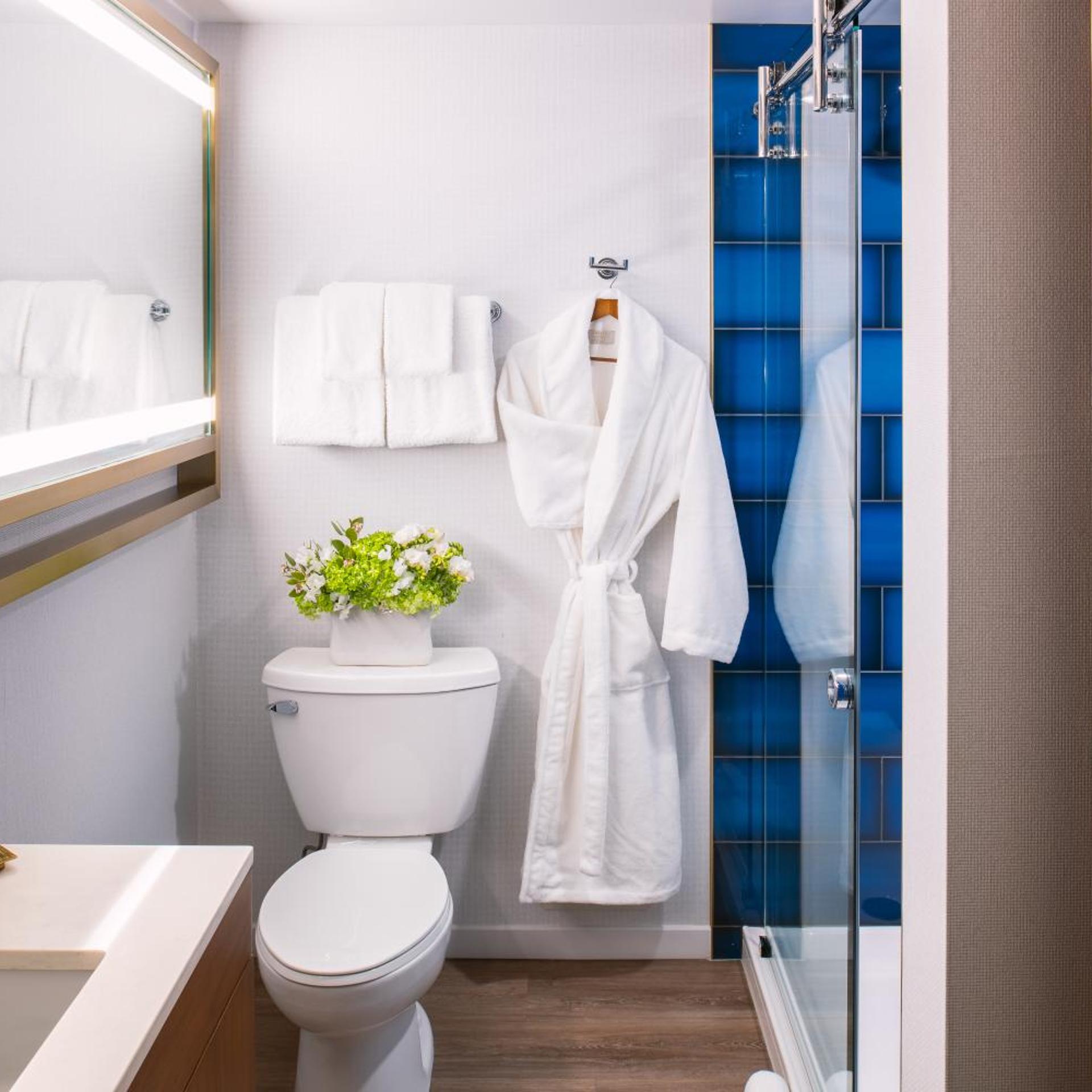 Deluxe, King Bed, Partial View، Le Meridien Essex Chicago 2/3