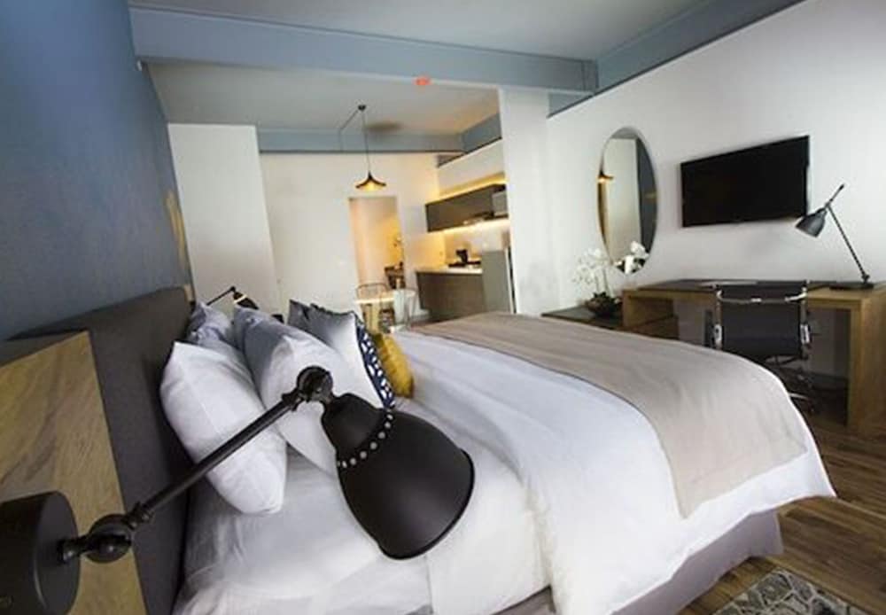 Tryp By Wyndham San Luis Potosi 13/48