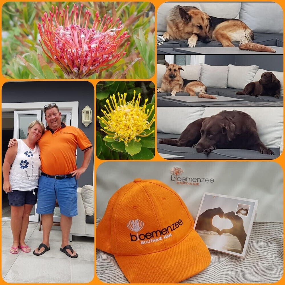 Bloemenzee Boutique B & B 3/50