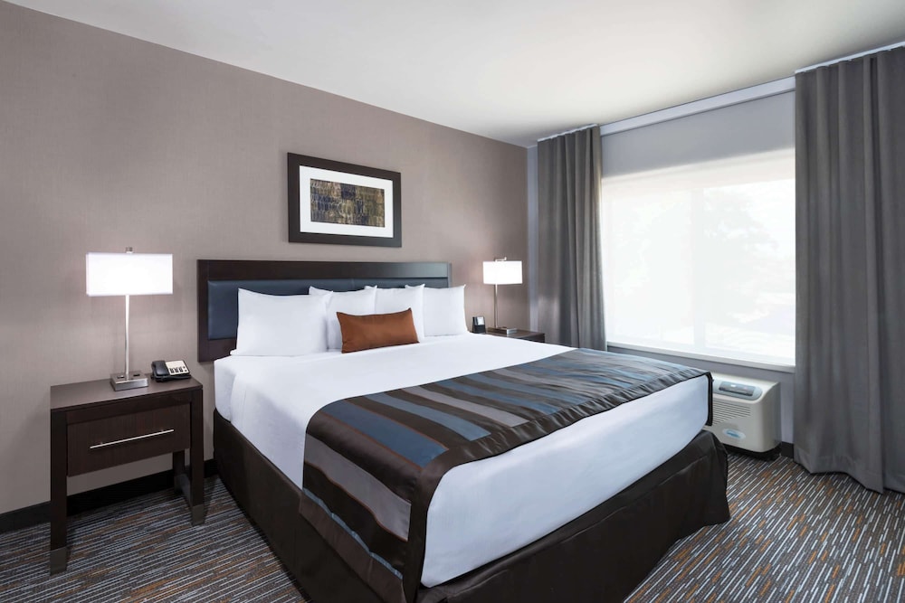 Room, King Bed