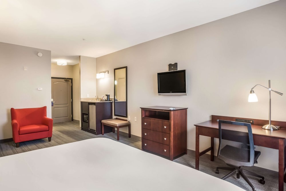 Comfort Inn & Suites Fairburn - Atlanta Southwest 23/45