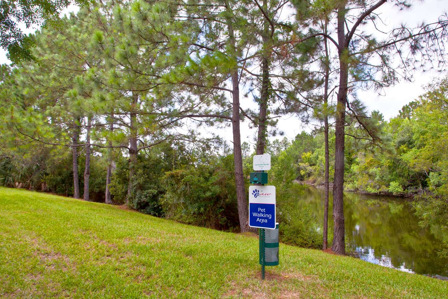 Sonesta Simply Suites Jacksonville 29/29