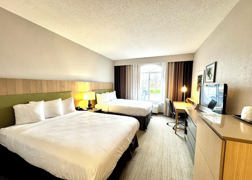 Room, 2 Queen Beds, Accessible