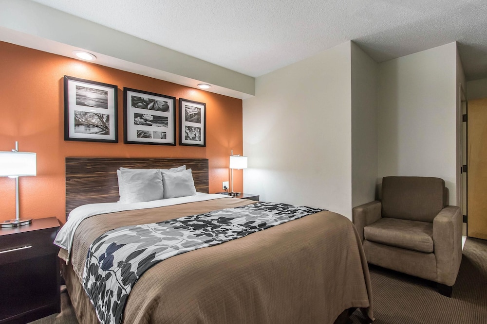 ROOM, QUEEN BED, ACCESSIBLE