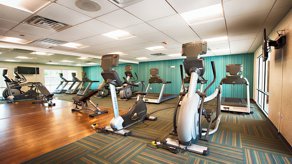 Holiday Inn Express & Suites Houston SW - Galleria Area 14/27