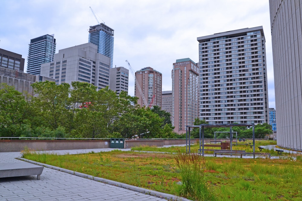 Chestnut Residence - Campus Accommodation 36/38