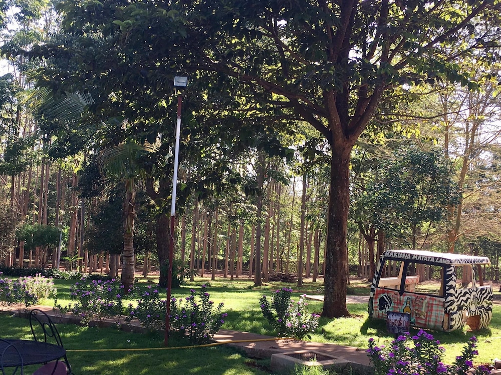 Kilemakyaro Mountain Lodge 37/50