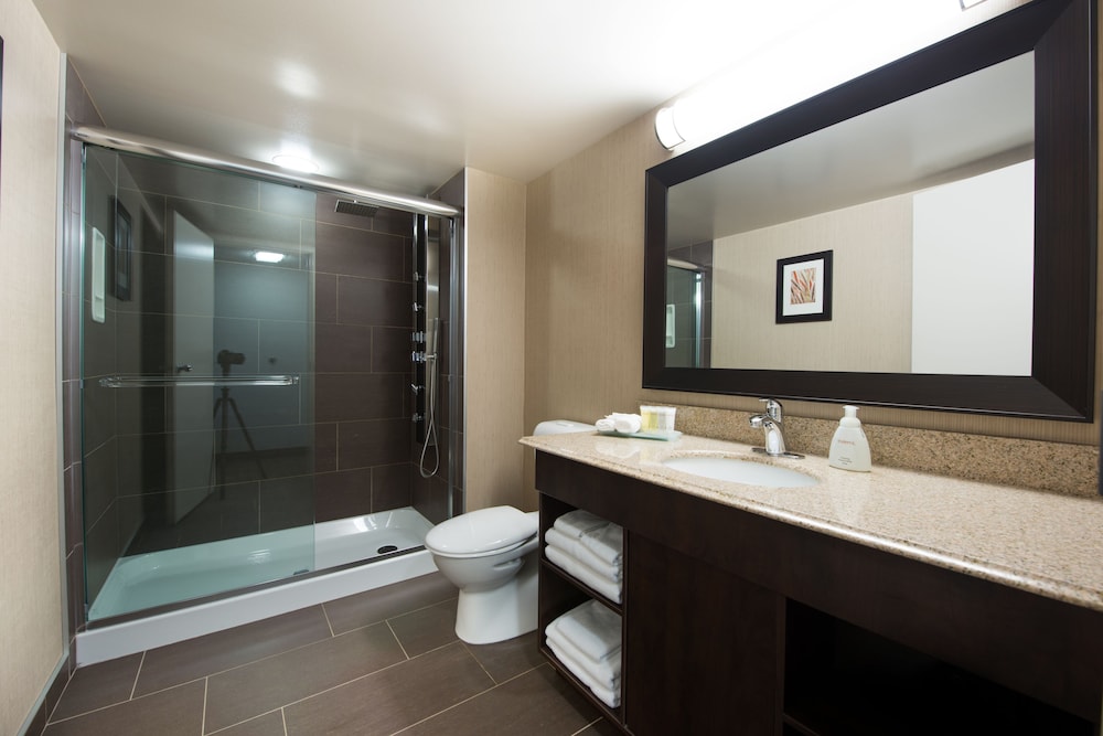 Victoria Inn Hotel Convention Centre Brandon 18/54