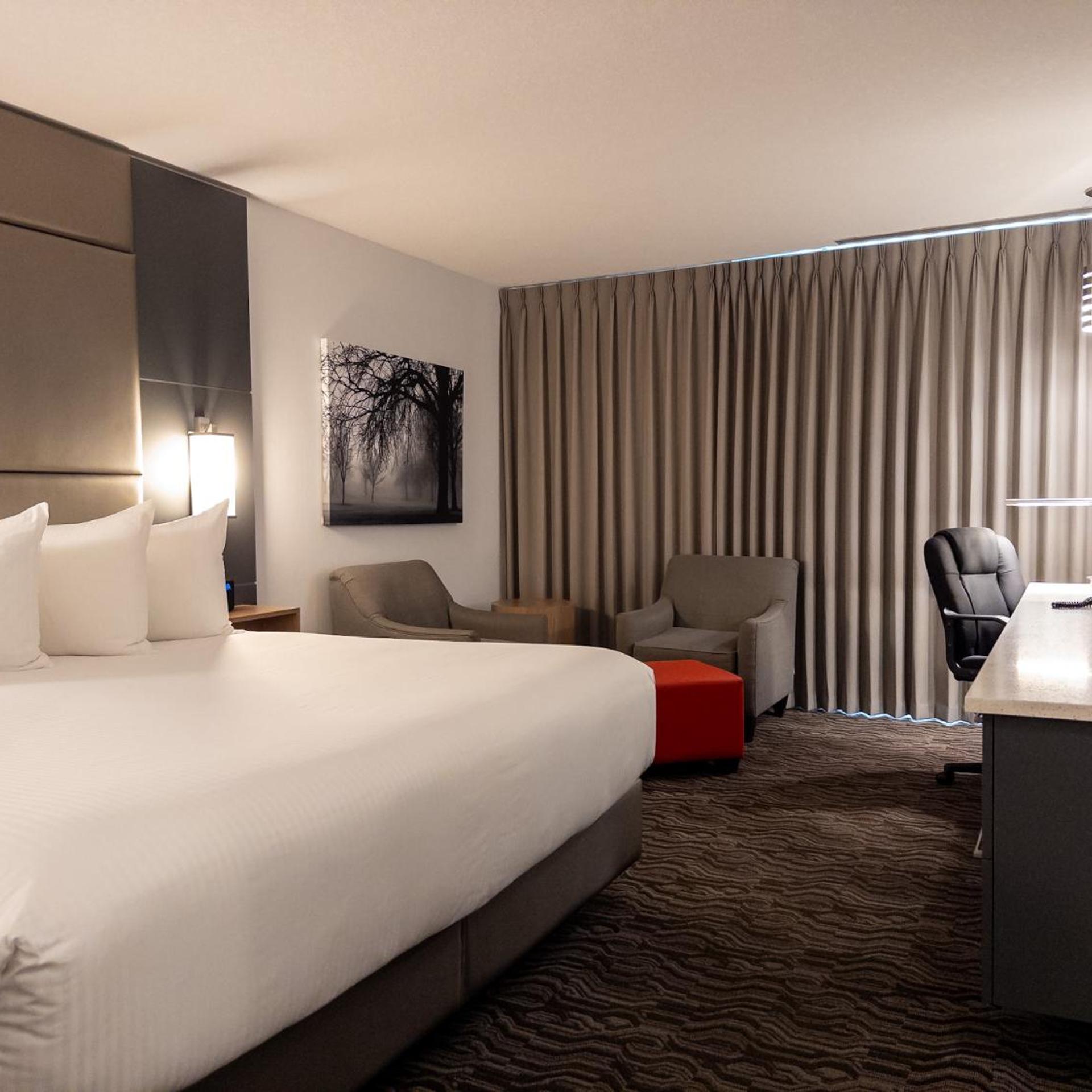Renovated, Premium, King Bed